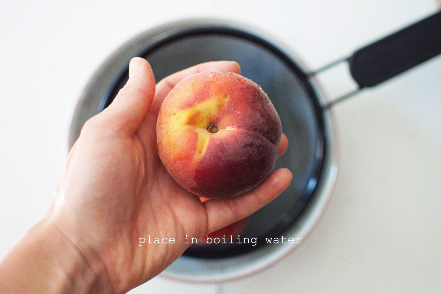 How to Peel a Peach | Wake the Wolves