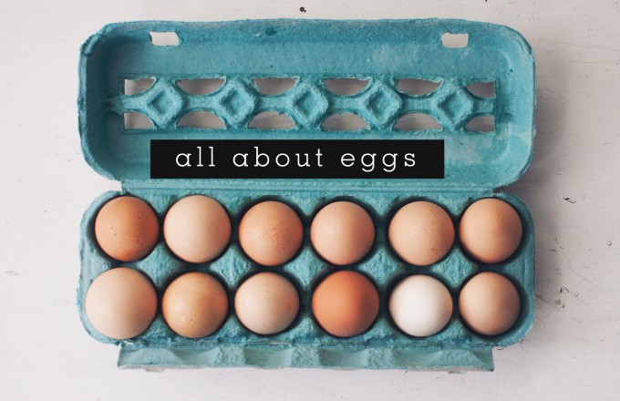 How to Shop for Eggs – organic? cage free? free range? brown vs. white?