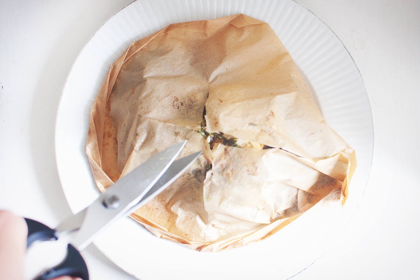 Baked Fish in Parchment Paper | Wake the Wolves