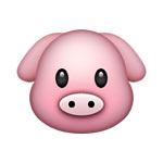 pig_emoji
